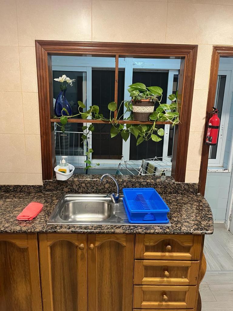 Apartamento Completo, Mascotas Aceptadas Arenales del Sol Exterior photo